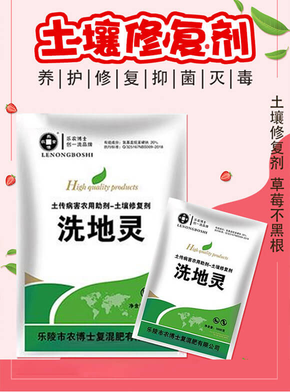 土壤修復(fù)劑(草莓)-洗地靈-樂農(nóng)博士_02