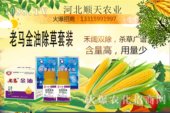 如何提高玉米苗后除草效率？玉米除草關(guān)鍵點(diǎn)大匯總！