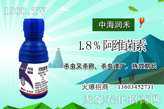 斜紋夜蛾高發(fā)期，防治工作迫在眉睫！斜紋夜蛾如何用藥？