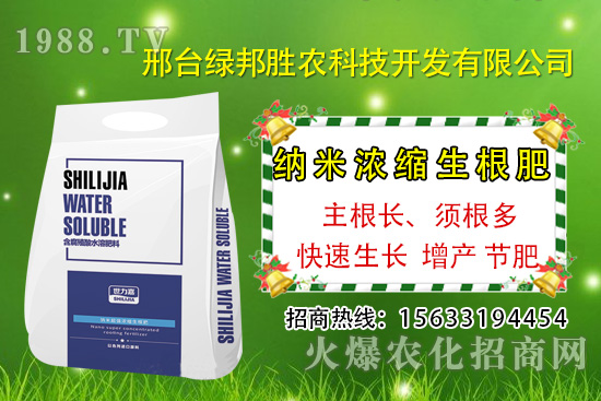 番茄死棵究竟哪些原因所致，如何預(yù)防番茄死棵發(fā)生？