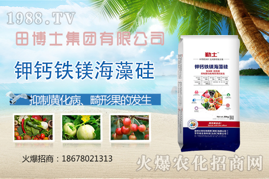 越夏番茄畸形果、產(chǎn)量上不去！防治番茄畸形果，這些要領(lǐng)需掌握！