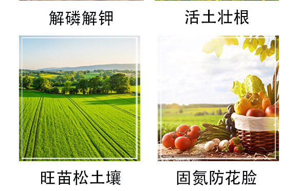 微生物菌劑-賽寶珠_05