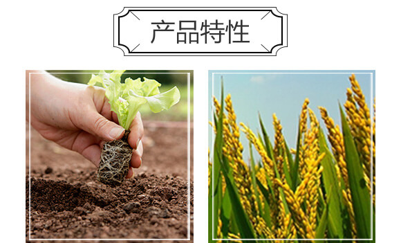 微生物菌劑-賽寶珠_04