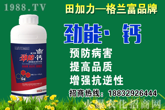 2020秋蘿卜什么時候種？秋蘿卜種植要注意哪些問題？