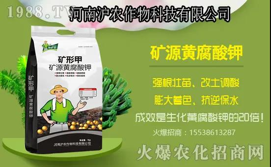 南瓜生長(zhǎng)分哪幾個(gè)過(guò)程?南瓜施肥要點(diǎn),用什么肥料好?