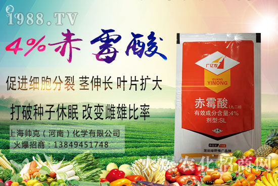 魔芋種植要點(diǎn)有哪些？魔芋市場價格及種植前景分析！