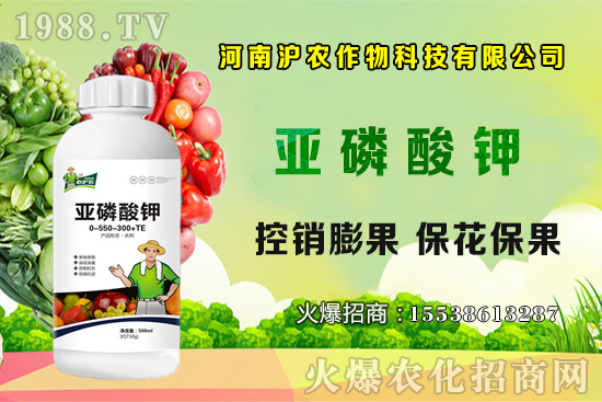 大蔥育苗要點(diǎn)你知道嗎？大蔥常見病蟲害有哪些？如何防治？