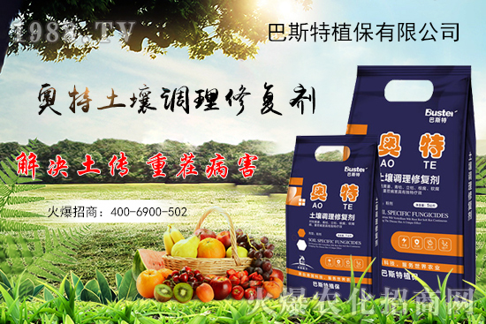 秋白菜怎么種植？秋白菜種植要點及苗期管理！