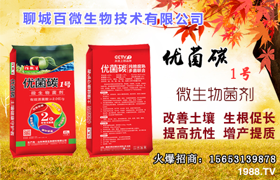 硼元素有什么作用？果樹缺硼有什么后果？什么時候補硼？