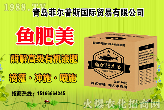 玉米結(jié)實不好啥原因？有法補救嗎？玉米結(jié)實不良改善措施！