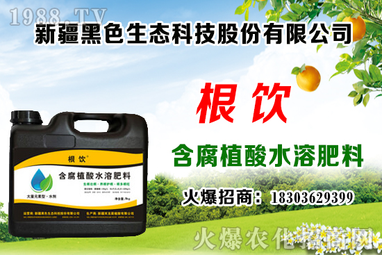 立秋后露地大白菜播種時(shí)間，管理需注意什么問(wèn)題？