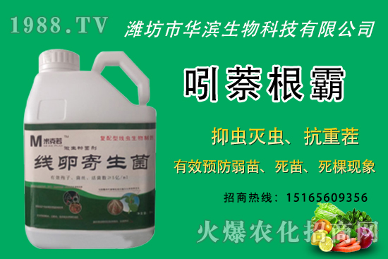 無(wú)花果種植什么品種較好?無(wú)花果皮可以吃嗎?種植前景怎樣?