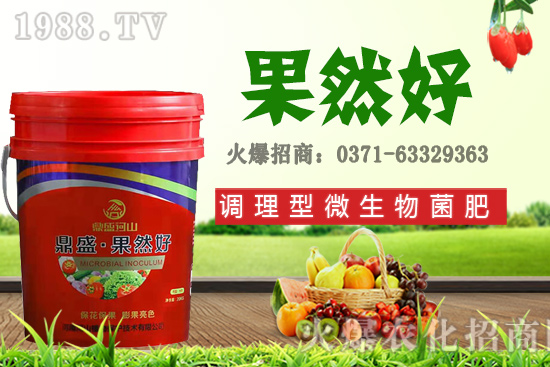 秋季適合種植哪些花卉?秋天播種六種花卉品種推薦!