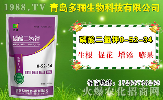 山竹作用與功效有哪些？如何挑選山竹？