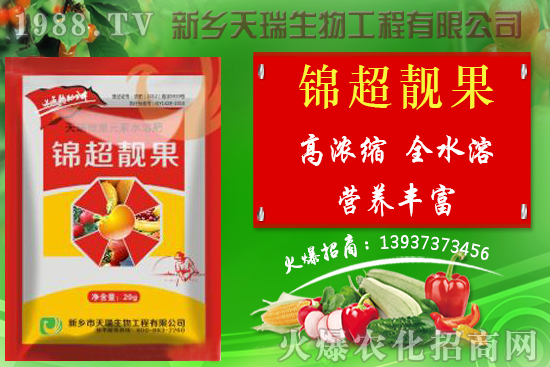 香菇栽培技術(shù)有哪些，秋季香菇管理要點(diǎn)詳解！