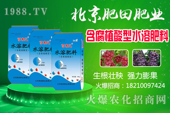 蘆柑產(chǎn)地在哪？蘆柑什么時(shí)候上市？如何挑選蘆柑？