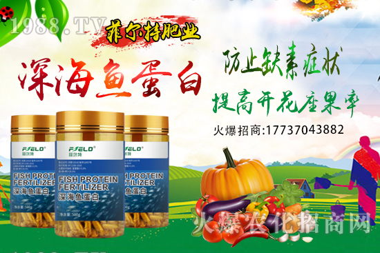 青梗菜種植時間，青梗菜栽培及管理關鍵要點！