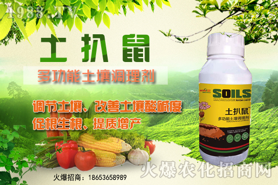 檳榔苗什么時(shí)候種植？檳榔苗怎么選？種植深度怎么算？