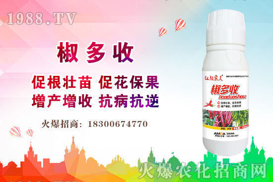 小麥價格多少錢一斤？2020年后期小麥價格還會上漲嗎？