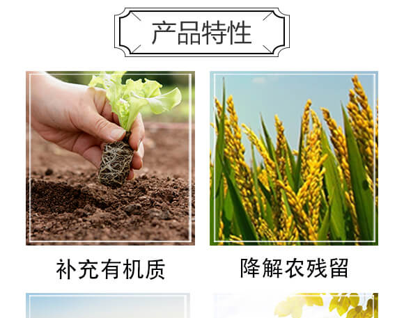 碳源益生-天賜鼎立_05