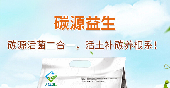 碳源益生-天賜鼎立_01