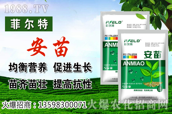 燈籠果生長(zhǎng)對(duì)環(huán)境的要求，燈籠果種植及采收技術(shù)！