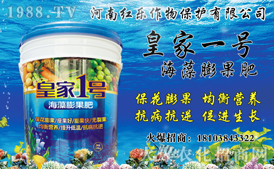 花椒產(chǎn)地主要在哪？花椒價(jià)格多少錢一斤？種植前景及效益分析！