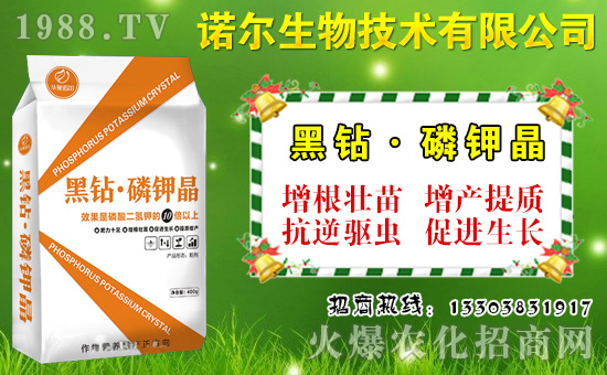 大棚菜豆如何施肥?菜豆需肥特點(diǎn)與施肥技術(shù)!