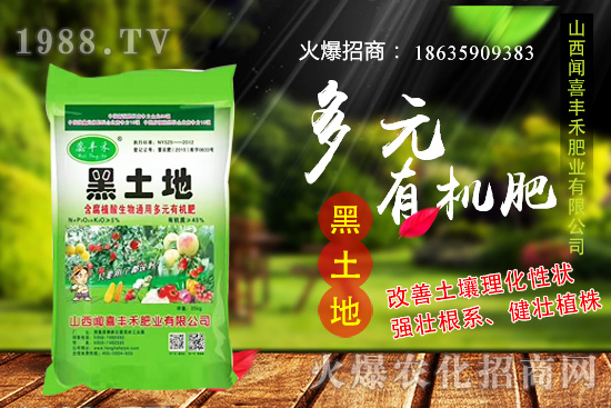 生姜如何選種，生姜什么時候種植？種植前需注意哪些問題？