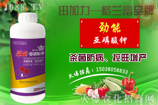 棉花如何做到合理施肥？棉花需肥特性及施肥原則！