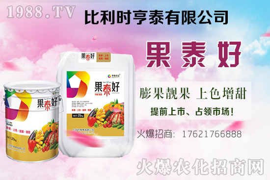 油茶樹(shù)的價(jià)格怎樣？種植前景如何？油茶樹(shù)畝產(chǎn)效益分析！