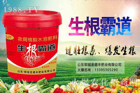 花椒樹種植季節(jié)是什么時(shí)候？花椒樹種植技巧有哪些？