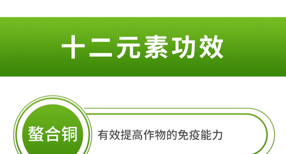 海藻十二元素-邦扶民-英爾果_07