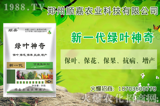 小麥價格連連上漲!現(xiàn)在一斤多少錢?