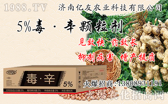 果樹秋栽和春栽有什么不同,果樹秋栽八大關(guān)鍵要點!