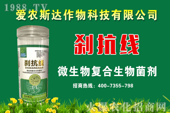 今日糧價：2020年9月11日小麥價格行情預(yù)測！