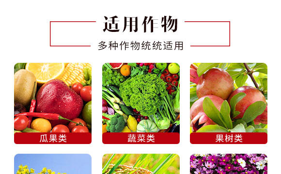 240g�Ҹ����-Ӣ����_06