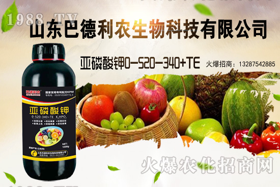 小麥價(jià)格能漲到多少錢一斤？部分地區(qū)價(jià)格行情！