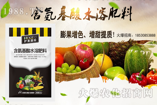 蕓豆適合在什么季節(jié)栽培?蕓豆如何進行種植?