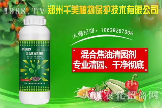 金錢草種子怎么種？金錢草種植方法介紹！