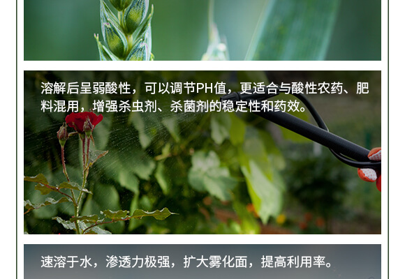 中量元素水溶肥料-糖醇鈣鎂-英爾果_06