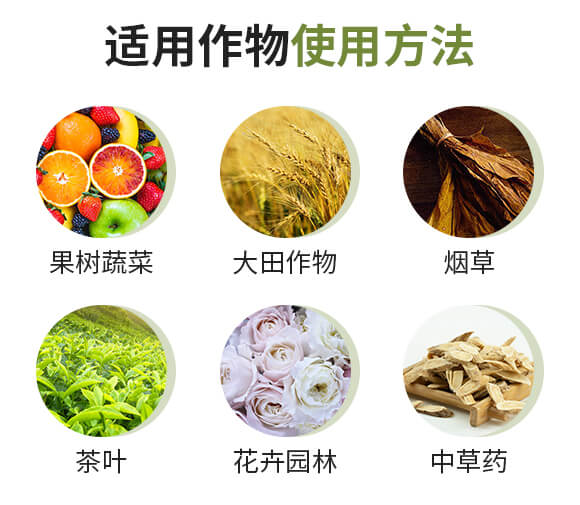 中量元素水溶肥料-糖醇鈣鎂-英爾果_09