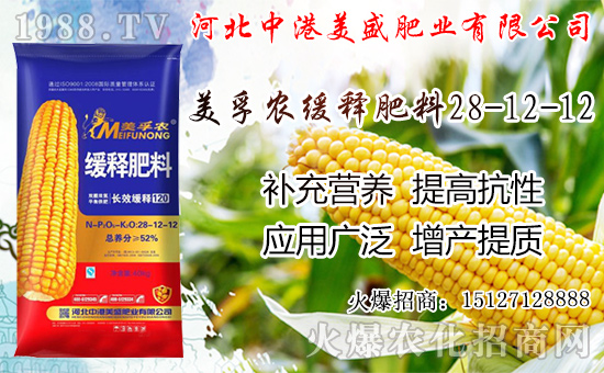 蘋果成熟期落果是怎么回事？蘋果成熟期及采摘后管理！