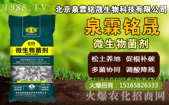 芒果什么時間種植，芒果種植方法及控水時期！