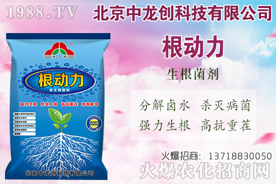 白蘿卜的需肥特性有哪些，白蘿卜施肥技術(shù)要點(diǎn)！