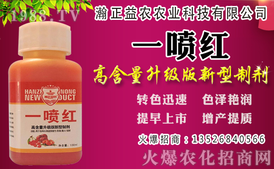 白蘿卜初秋種植還是深秋？白蘿卜種植時(shí)間和管理！