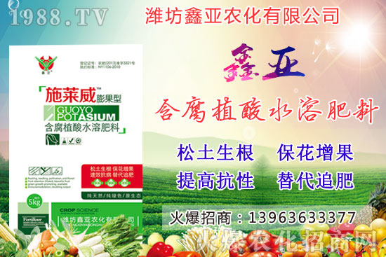 糧食漲價！20209月17日小麥價格行情如何？