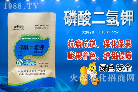今年小麥如何選擇品種？小麥播種怎樣合適？什么時間播種？