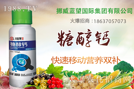 柑橘壯果肥如何施，柑橘壯果期施肥與管理！