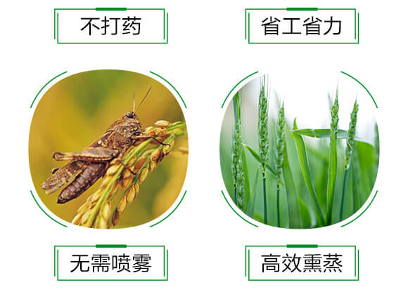 白粉熏蒸劑-無粉120-晨茂農業(yè)_06